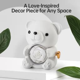 Romantische teddybeer met geconserveerde roos en hartvormige halsketting - Perfect cadeau voor Valentijnsdag, Moederdag en bruiloften — thumbnail 2