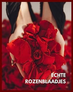Echte Rozenblaadjes in Geschenkverpakking | Romantisch Cadeau voor Vrouwen | Geconserveerde Rozen — thumbnail 4