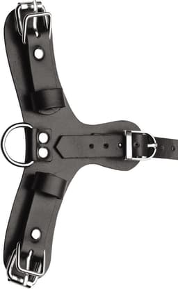 Puppy Play Masker Met Ballgag - Zwart — thumbnail 14