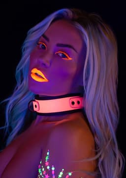 Collar and Chain Leash — thumbnail 2
