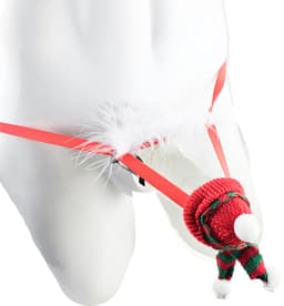 BamBella ® - string bongage - maat Onesize S M L - Sexy slip erotische onderbroek valentijnsdag kerst doorzichtig rollenspel rood kleding voor mannen — thumbnail 1