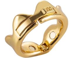 Sevanda - Ring of Kings - Eikelring Kroon - Maat L - Goud