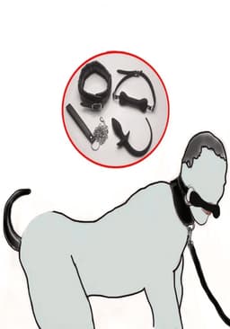 BDSM Pet play set hond - dog play - ball gag - buttplug - chains - Bondage set - kinky - fetisj - puppy training — thumbnail 1