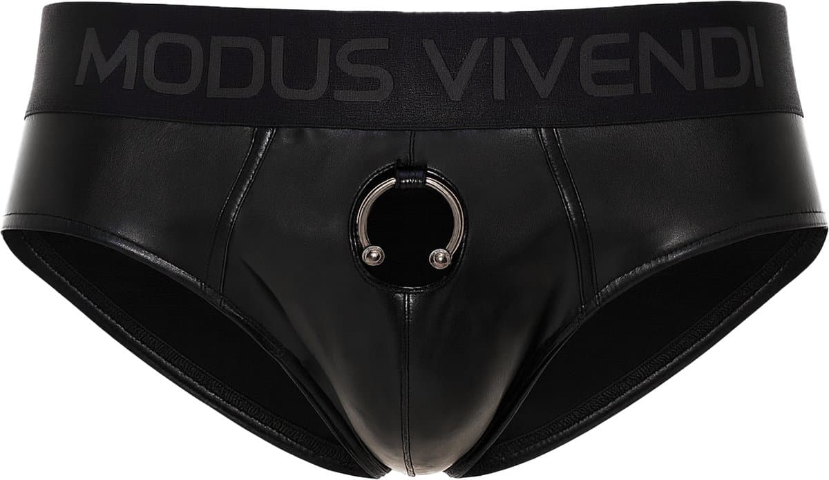 MODUS VIVENDI Prince Albert Classic Brief - MAAT S - Erotisch Heren Ondergoed - Slip voor Man - Sexy mannen Slip — afbeelding 1
