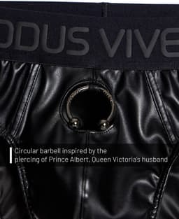 MODUS VIVENDI Prince Albert Classic Brief - MAAT S - Erotisch Heren Ondergoed - Slip voor Man - Sexy mannen Slip — thumbnail 6