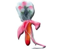 Hilarisch Cadeau – Rozenbos Met Penis – Perfect voor Vrijgezellenfeesten & Valentijn