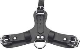 Puppy Play Masker Met Ballgag - Zwart — thumbnail 13