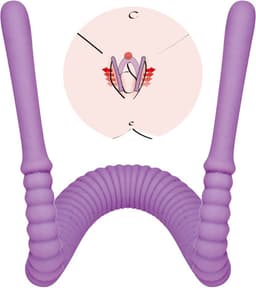 Flexibele Schaamlip Spreider - Zijdezacht Siliconen - 31.7 cm - Stimuleert de G-Spot en Spreidt de Schaamlippen — thumbnail 1