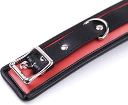 Banoch - Collar & leash Silver - Halsband en Riem - Zwart / Rood met zilver — thumbnail 5