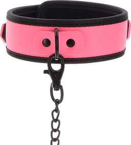 Collar and Chain Leash — thumbnail 4