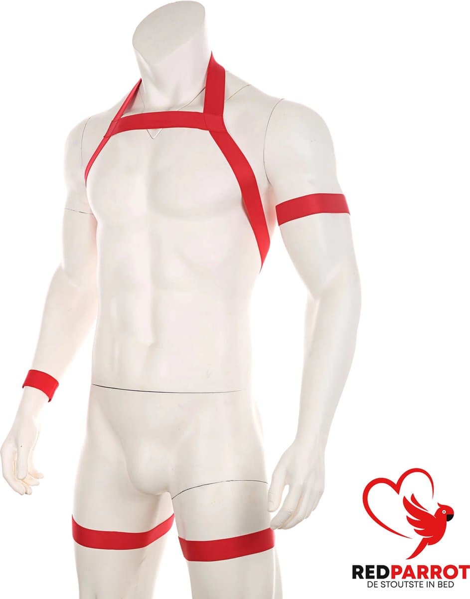 Erotische Halter Harnas | Rode Lingerie voor Heren | BDSM | Full body | Armen en benen | Club wear | Mannen | Voor hem — afbeelding 1