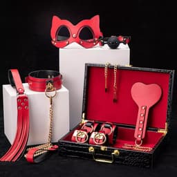 Dare to Undress – Fifty Shades of Grey – Luxe 8-delige BDSM Set met Opbergkoffer – Premium – BDSM Bondagesets - Valentijn Cadeau - Handboeien, Halsband, Masker, Gagbal & Zweep - Sex Toys voor Koppels - Seksspeeltjes voor mannen en vrouwen - Kinky — thumbnail 2