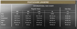 Penthouse Lingerie Naughty Doll - Erotische Babydoll - Maat S/M - Wit — thumbnail 2