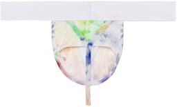 WOH heren microfiber G-string sexy fun multi — thumbnail 2