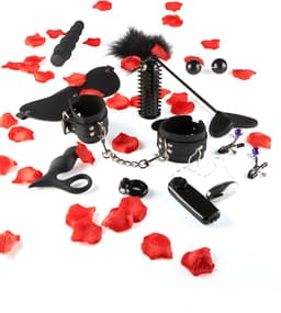 ToyJoy Lovetoy - Starter Kit - Geschenkset - 10 delig — thumbnail 4