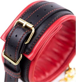 Banoch - Collar & leash Gold - Halsband en Riem - Rood met goud — thumbnail 3