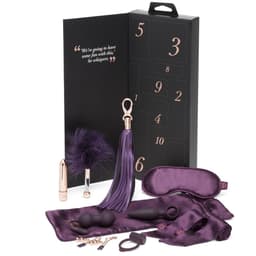 Fifty Shades Pleasure Overload 10 Days of Play Couple's Kit - Zwart/ Zilver — thumbnail 11