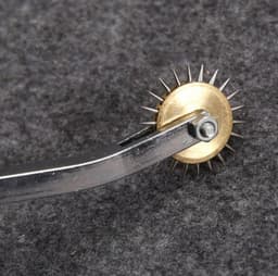 Stimulator tickler Gear wheel Rvs Slave bdsm Erotische bondage voor Paren fetish Adult game Sex Toys — thumbnail 8