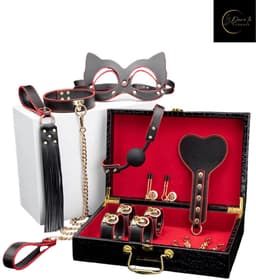 Dare to Undress – Fifty Shades of Grey – Luxe 8-delige BDSM Set met Opbergkoffer – Premium – BDSM Bondagesets - Valentijn Cadeau - Handboeien, Halsband, Masker, Gagbal & Zweep - Sex Toys voor Koppels - Seksspeeltjes voor mannen en vrouwen - Kinky — thumbnail 3