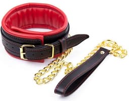 Banoch - Collar & leash Gold - Halsband en Riem - Rood met goud — thumbnail 4