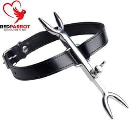 BDSM Halsband met scherpe pinnen - Extreme bondage — thumbnail 2