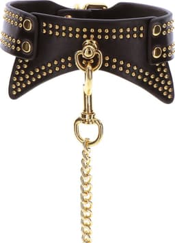 Studded Collar and Leash — thumbnail 1