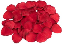Dreamtoys Glijmiddel - Rood - 19 cm - Oplaadbaar - Vibrerend — thumbnail 4