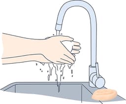 Pussy Soap — thumbnail 7
