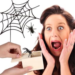 Grappige Spin in Doos 2 Stuks - Speelgoed - Verrassingscadeau voor Vrouw en Man — thumbnail 3