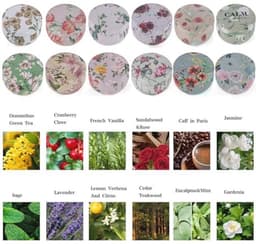 12 Stuks Geurende Kaarsen Set voor Vrouwen - Natuurlijke Bloemengeur voor Decoratie en Cadeaus — thumbnail 5