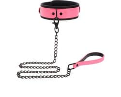 Collar and Chain Leash