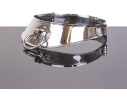 Locking Collar met Ring 12 cm