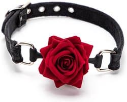 ball gag roos - kinky - bdsm - beperkingen