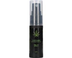 Shots - Pharmquests | Cannabis With Hemp Seed Oil - Delay Spray - 15 ml
