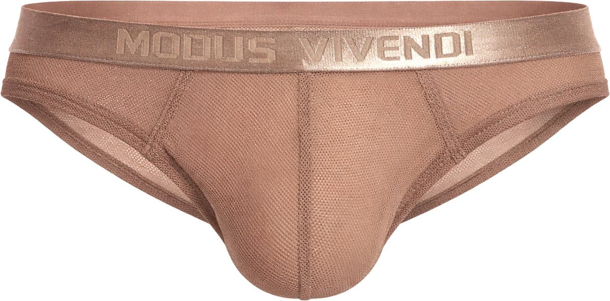 MODUS VIVENDI Mesh Through Classic Brief Skin - MAAT M - Erotisch Heren Ondergoed - Slip voor Man - Sexy mannen Slip — afbeelding 1