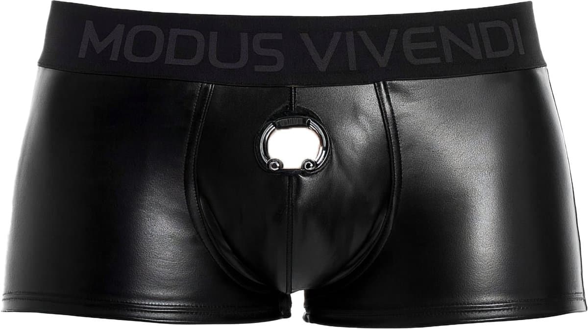 MODUS VIVENDI Prince Albert Bottomless Boxer - MAAT M - Erotisch Heren Ondergoed - Boxershort voor Man - Sexy mannen Boxershort — afbeelding 1