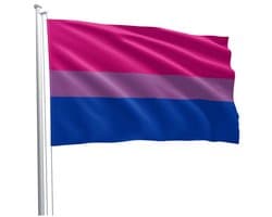 Bi Pride Flag 90 x 150 cm